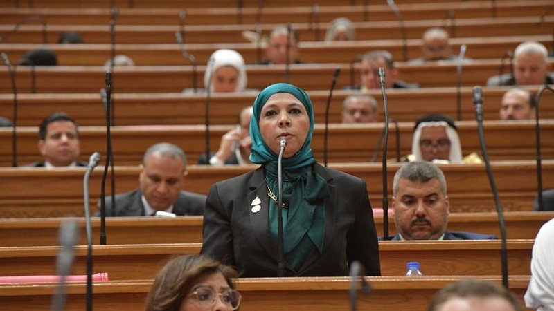 النائبة مريم العرب