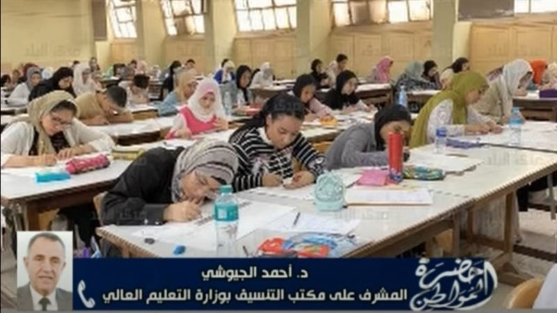 أحمد الجيوشي 