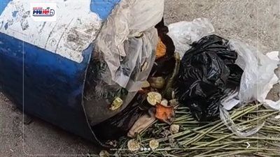 استغاثة أهالي فيديمين بالفيوم: «الريحة وحشة ومش قادرين نتنفس».. ومطالبات عاجلة للمحافظ بالتدخل
