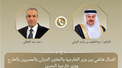 وزيرا خارجية مصر والبحرين يبحثان أمن المنطقة وحرية الملاحة الدولية