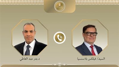 مصر تجدد دعمها لفنزويلا.. عبد العاطي يبحث التعاون والإعمار مع نظيره الفنزويلي