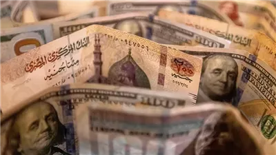 صندوق ممفيس يستهدف جمع 100 مليون دولار من مدخرات المصريين بالخارج خلال عام