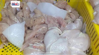 ضبط أغذية فاسدة ولحومًا تالفة ومواد محظورة بأسواق المنيا قبل المولد النبوي