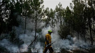 أغلبهم قاصرون.. فرنسا تعتقل 380 شخصا للاشتباه بتورطهم في إشعال حرائق الجنوب