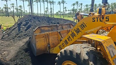 بعد شكاوى المواطنين.. حملة مكبرة تغلق 3 مكامير فحم عشوائية في دمياط