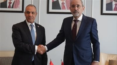 عبد العاطي والصفدي يبحثان تعزيز الشراكة المصرية الأردنية وتطورات غزة