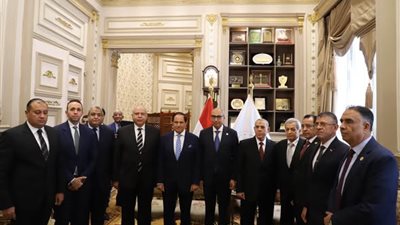 رئيس مجلس الدولة يزور رئيس محكمة النقض لتهنئته بمنصبه الجديد