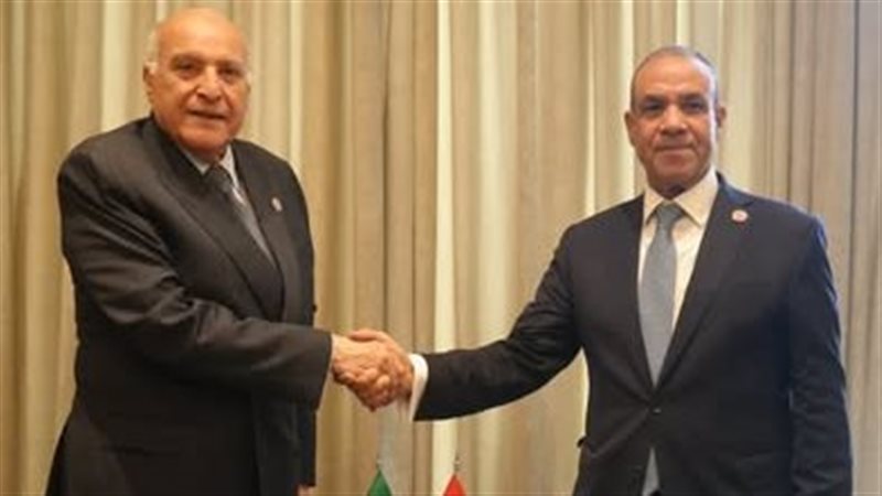 وزيرا خارجية مصر
