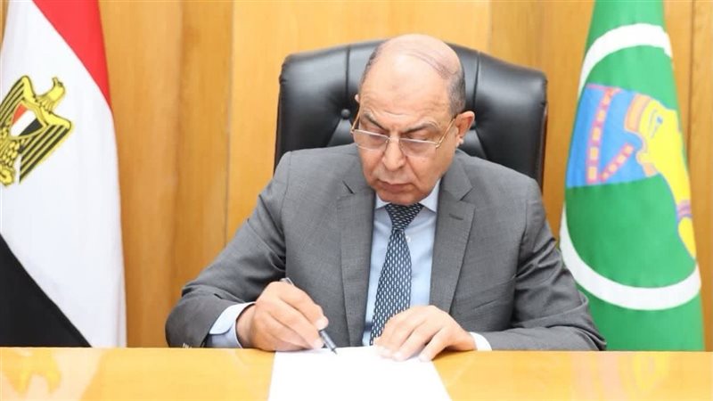 محافظ المنيا