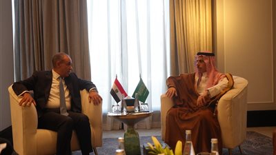 وزير الخارجية يلتقي نظيره القطري على هامش الاجتماع الوزاري حول القدس في عمّان