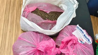 جمارك مطار القاهرة تحبط محاولة تهريب 9.5 كيلو من مخدر القات بحوزة راكبة |صور