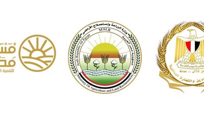 بدء طرح السكر الحر بسعر 25 جنيهًا للكيلو اعتبارًا من غد الخميس