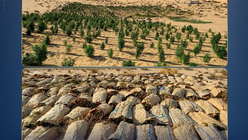 المضبوطات 