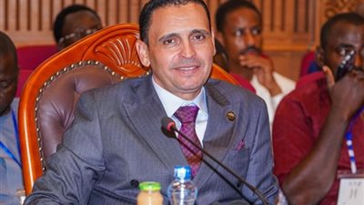 بحضور وزيري الخارجية والنقل..إسلام التلواني يشارك بمنتدى أعمال مصر والتشاد