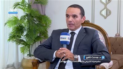 الدكتور مدحت نافع: رفع الأسعار أسهل الحلول وليس إصلاحا اقتصاديا