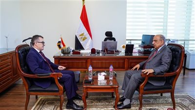الكهرباء والتخطيط تبحثان تمويل مشروعات الطاقة وتعظيم استثمارات المعادن النادرة