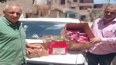 خلال حملة تموينية بمركز بدر.. ضبط 3000 قطعة حلوى منتهية الصلاحية وطن جبس مجهول
