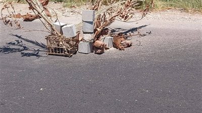 حفرة تهدد حياة المواطنين بطريق نجع الجسور بالأقصر.. والأهالي يستغيثون | تفاصيل