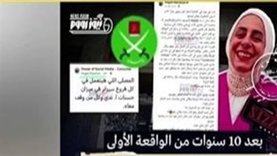 بلاغ للنائب العام لإحالة واقعة «فتاة سيزلر» بأكتوبر إلى أمن الدولة العليا