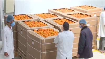 من الزراعة إلى التصنيع والطاقة.. «القرية المنتجة» تعيد رسم مستقبل الريف المصري