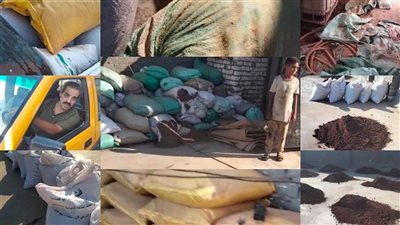 ضبط مصنع لإنتاج الفلفل الأسود المغشوش ببني سويف والتحفظ على 5.5 طن |صور