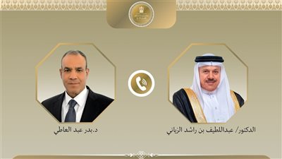 وزير الخارجية يبحث مع نظيره البحريني خفض التصعيد وتعزيز أمن الملاحة
