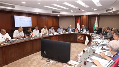 محافظ الجيزة يتابع تقنين أوضاع التعديات على أملاك الدولة بالصف ومنشأة القناطر