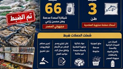 ضبط مخزن غير مرخص و3 أطنان أسماك فاسدة في حملة تموينية مكثفة بالبحيرة