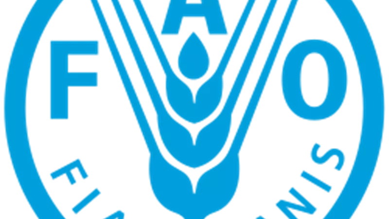 الفاو