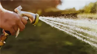 احترسي من ري بعض الأجزاء.. خطأ شائع يمكن أن يكلفك حياة نباتات شرفتك