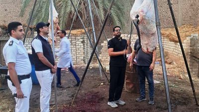 ضبط أكثر من طن لحوم غير صالحة للاستهلاك الآدمي بسوق الهجارسة بسوهاج 