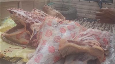 حملات رقابية بسمالوط تضبط بقرة مذبوحة وأختامًا مزورة داخل محال جزارة بالمنيا