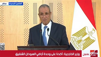 وزير الخارجية: نعتز بالعلاقات مع الصين.. وزيارة الرئيس الصيني هامة للغاية