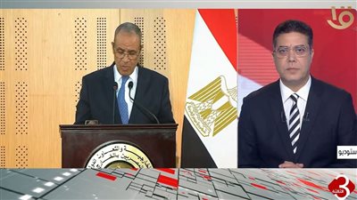 خبير علاقات دولية: مصر تتحرك وفق استراتيجية شاملة لخفض التصعيد بالمنطقة