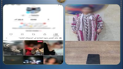 بسبب زيادة المشاهدات والأرباح.. القبض على صانعة محتوى بسبب فيديوهات خادشة