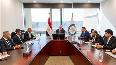 وزير البترول يبحث مع السويدي كابيتال تنفيذ مصنع الأسمدة الفوسفاتية باقتصادية قناة السويس