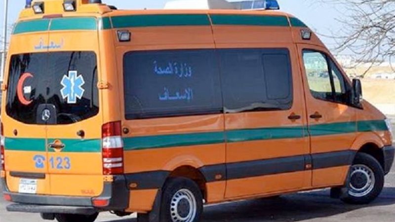 ارشيفية