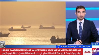 باحث في الشؤون الإيرانية: أزمات الداخل تضغط على حكومة بزشكيان