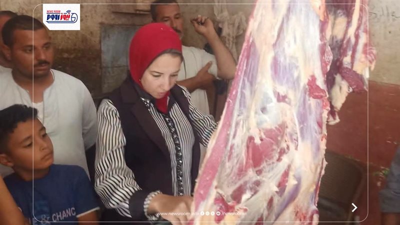 حملات تفتيشية بالمنيا