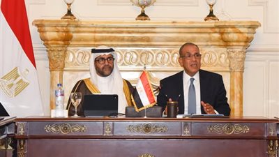 تمويل وضمانات وأسواق جديدة.. مصر تتحرك لدعم شركاتها في أفريقيا