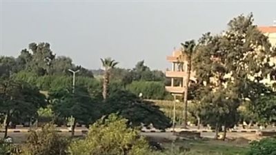 جريمة تهز قرية إسطنها بالمنوفية.. وفاة سيدة والمتهم يحاول إنهاء حياته