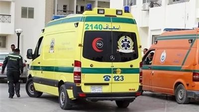 مصرع عنصر إجرامي في تبادل لإطلاق النار مع الشرطة داخل الزراعات بالغربية 