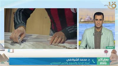 26 ألف شركة جديدة تدعم الاقتصاد المصري.. خبير يكشف خريطة الاستثمار