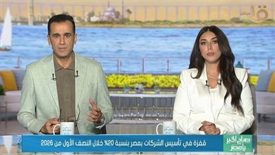 تأسيس الشركات في مصر يقفز 20% خلال 6 أشهر.. خبير يكشف السبب