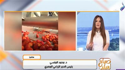 مصر تتصدر صادرات الفراولة المجمدة عالميًا بـ690 مليون دولار