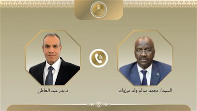 وزيرا خارجية مصر وموريتانيا يتفقان على تكثيف التنسيق لخفض التصعيد في المنطقة 