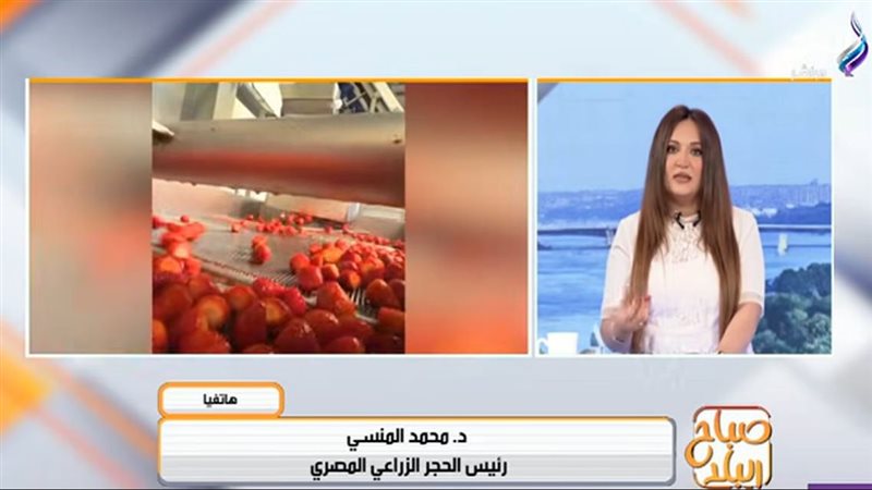 برنامج «صباح البلد»