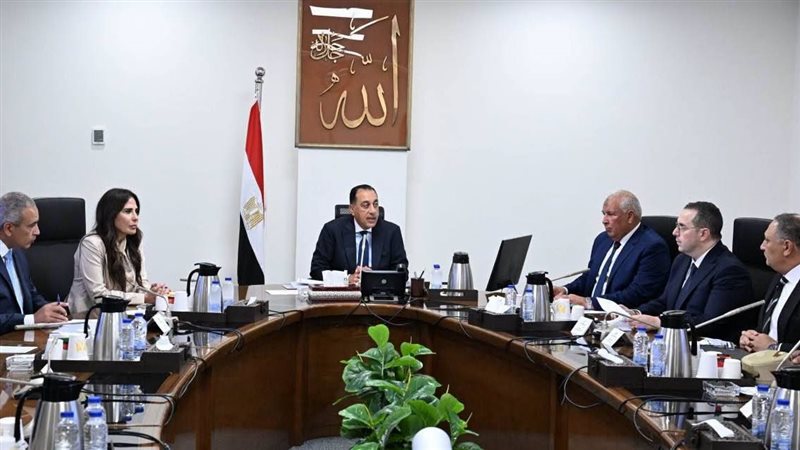 مجلس الوزراء 