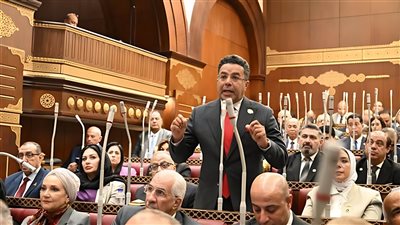 برلماني: أزمة الإيجار القديم ليست مجرد رقم وتشريد المواطن من بيته دمار اجتماعي