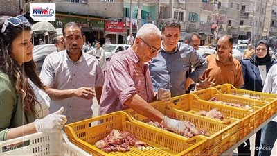 حملات تموينية بالمنيا تضبط 1400 لتر سولار وتحرر 228 مخالفة متنوعة         
